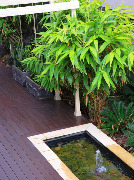 asian-patio